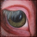 Augenblick eines Schweins; Acryl auf Leinwand;
30 x 30 cm